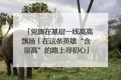 党旗在基层一线高高飘扬丨在这条英雄“含量高”的路上寻初心