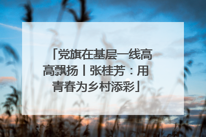 党旗在基层一线高高飘扬丨张桂芳：用青春为乡村添彩