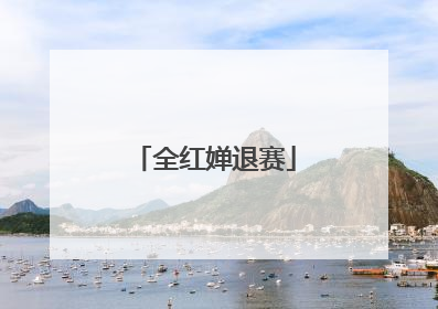 全红婵退赛