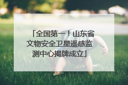 全国第一！山东省文物安全卫星遥感监测中心揭牌成立
