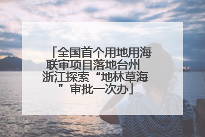 全国首个用地用海联审项目落地台州 浙江探索“地林草海”审批一次办