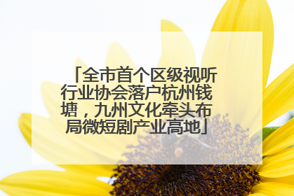 全市首个区级视听行业协会落户杭州钱塘，九州文化牵头布局微短剧产业高地
