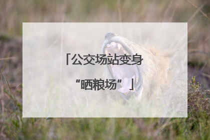 公交场站变身“晒粮场”
