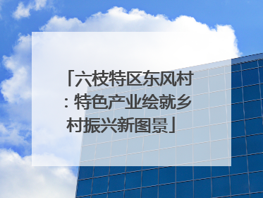 六枝特区东风村：特色产业绘就乡村振兴新图景