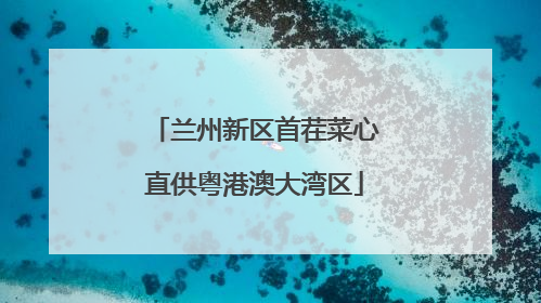 兰州新区首茬菜心直供粤港澳大湾区