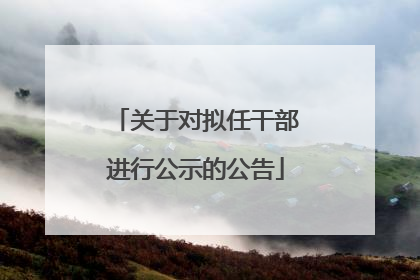 关于对拟任干部进行公示的公告