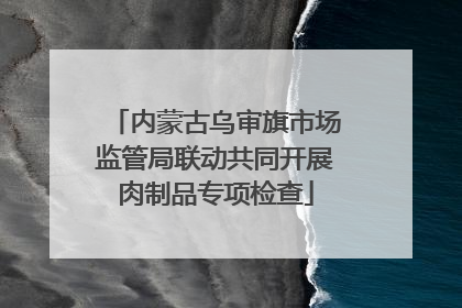 内蒙古乌审旗市场监管局联动共同开展肉制品专项检查
