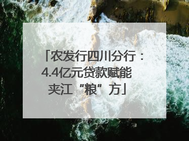 农发行四川分行：4.4亿元贷款赋能夹江“粮”方
