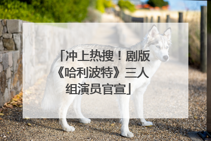 冲上热搜！剧版《哈利波特》三人组演员官宣