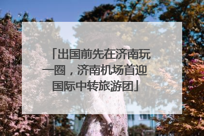 出国前先在济南玩一圈，济南机场首迎国际中转旅游团