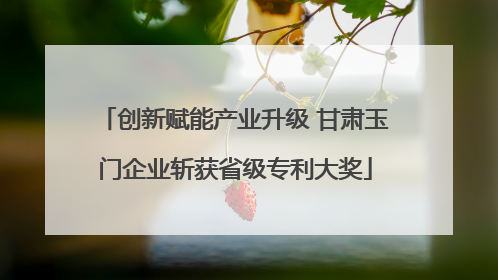 创新赋能产业升级 甘肃玉门企业斩获省级专利大奖