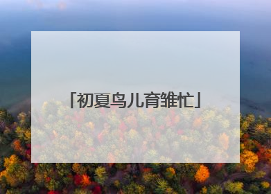 初夏鸟儿育雏忙