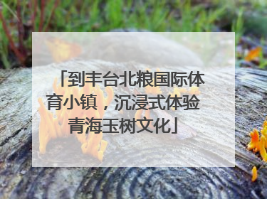 到丰台北粮国际体育小镇，沉浸式体验青海玉树文化