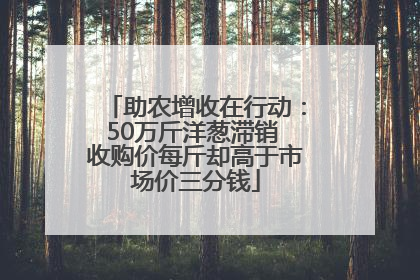 助农增收在行动：50万斤洋葱滞销 收购价每斤却高于市场价三分钱