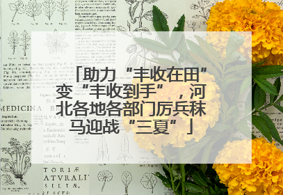 助力“丰收在田”变“丰收到手”，河北各地各部门厉兵秣马迎战“三夏”