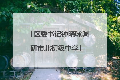 区委书记钟晓咏调研市北初级中学