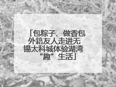 包粽子、做香包 外籍友人走进无锡太科城体验湖湾“趣”生活