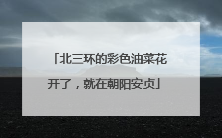 北三环的彩色油菜花开了，就在朝阳安贞