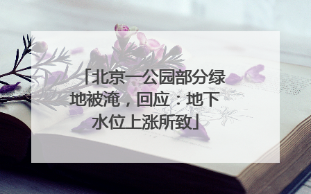 北京一公园部分绿地被淹，回应：地下水位上涨所致