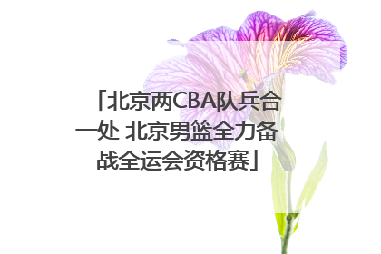 北京两CBA队兵合一处 北京男篮全力备战全运会资格赛