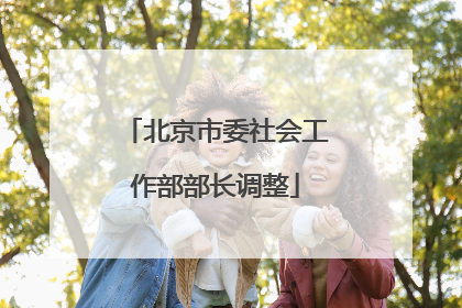 北京市委社会工作部部长调整