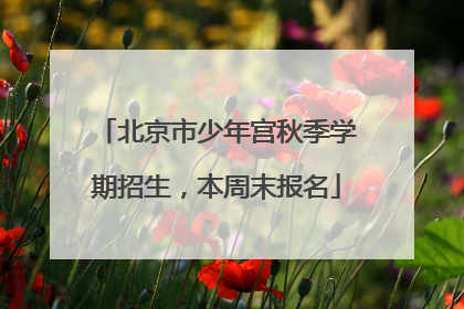 北京市少年宫秋季学期招生，本周末报名