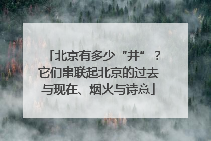 北京有多少“井”？它们串联起北京的过去与现在、烟火与诗意