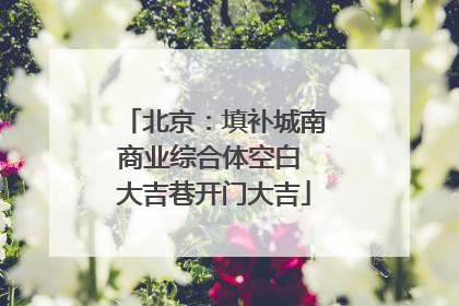 北京：填补城南商业综合体空白 大吉巷开门大吉