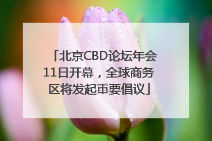 北京CBD论坛年会11日开幕，全球商务区将发起重要倡议