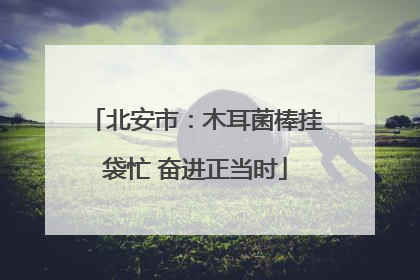 北安市：木耳菌棒挂袋忙 奋进正当时