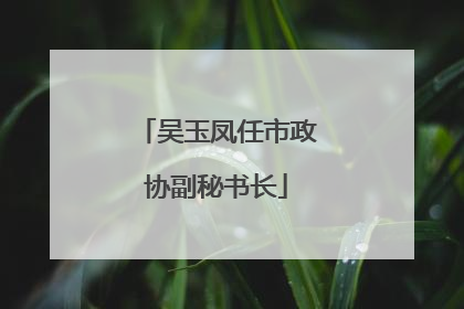 吴玉凤任市政协副秘书长