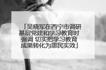 吴晓军在西宁市调研基层党建和学习教育时强调 切实把学习教育成果转化为惠民实效