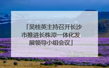 吴桂英主持召开长沙市推进长株潭一体化发展领导小组会议