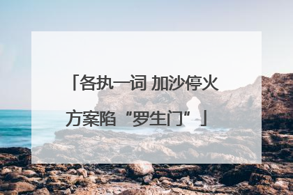 各执一词 加沙停火方案陷“罗生门”