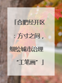 合肥经开区：方寸之间，细绘城市治理“工笔画”
