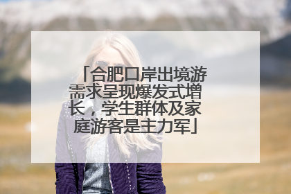 合肥口岸出境游需求呈现爆发式增长，学生群体及家庭游客是主力军