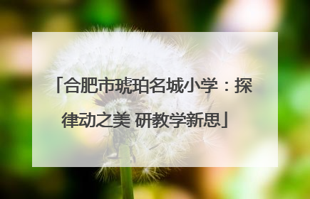 合肥市琥珀名城小学：探律动之美 研教学新思