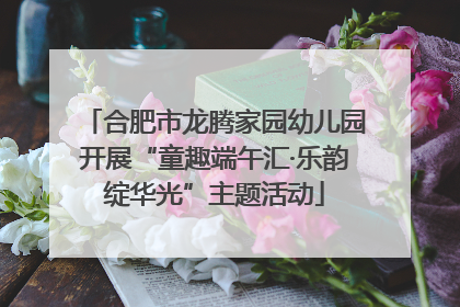 合肥市龙腾家园幼儿园开展“童趣端午汇·乐韵绽华光”主题活动