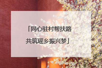 同心驻村帮扶路 共筑瑶乡振兴梦