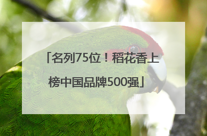 名列75位！稻花香上榜中国品牌500强