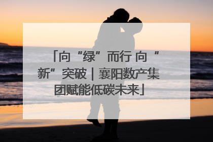 向“绿”而行 向“新”突破｜襄阳数产集团赋能低碳未来