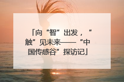 向“智”出发，“触”见未来——“中国传感谷”探访记
