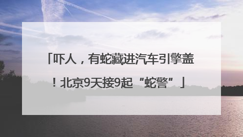 吓人，有蛇藏进汽车引擎盖！北京9天接9起“蛇警”