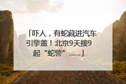 吓人，有蛇藏进汽车引擎盖！北京9天接9起“蛇警”……