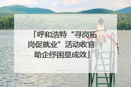 呼和浩特“寻岗拓岗促就业”活动收官 助企纾困显成效