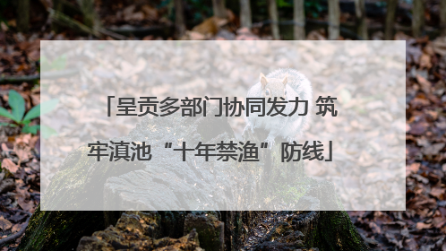 呈贡多部门协同发力 筑牢滇池“十年禁渔”防线