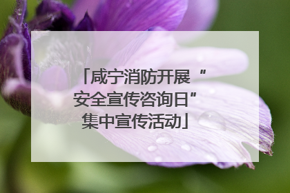 咸宁消防开展“安全宣传咨询日”集中宣传活动