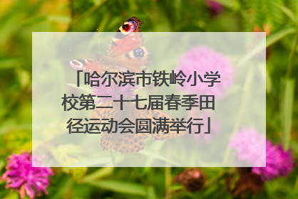 哈尔滨市铁岭小学校第二十七届春季田径运动会圆满举行