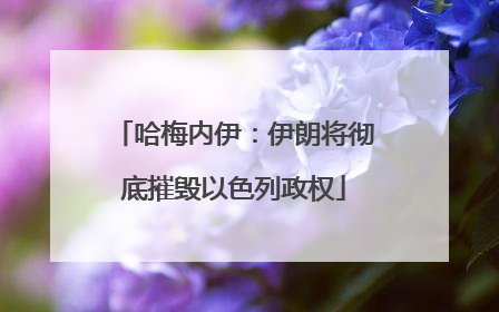 哈梅内伊：伊朗将彻底摧毁以色列政权
