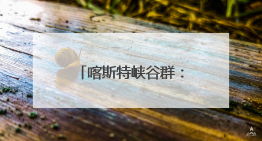 喀斯特峡谷群：生命演化的摇篮
